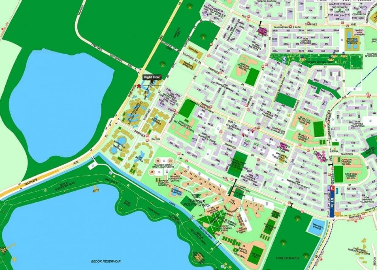 mappa di tampines Singapore